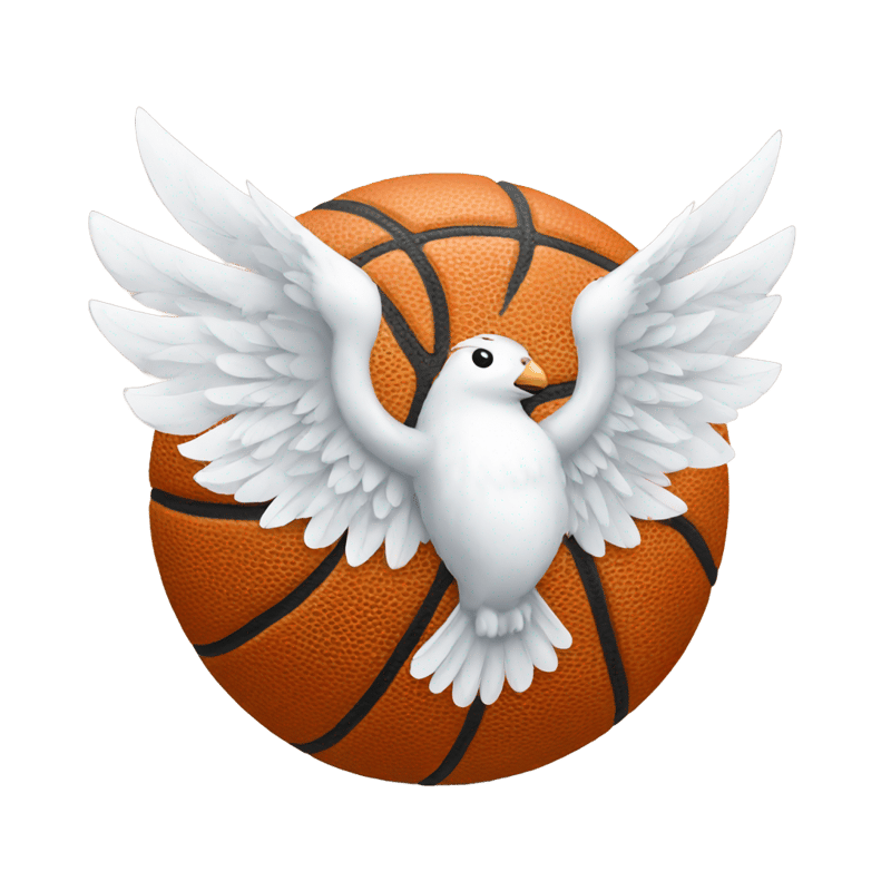 A basketball with white wings