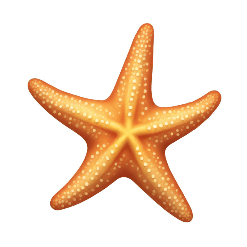 a starfish