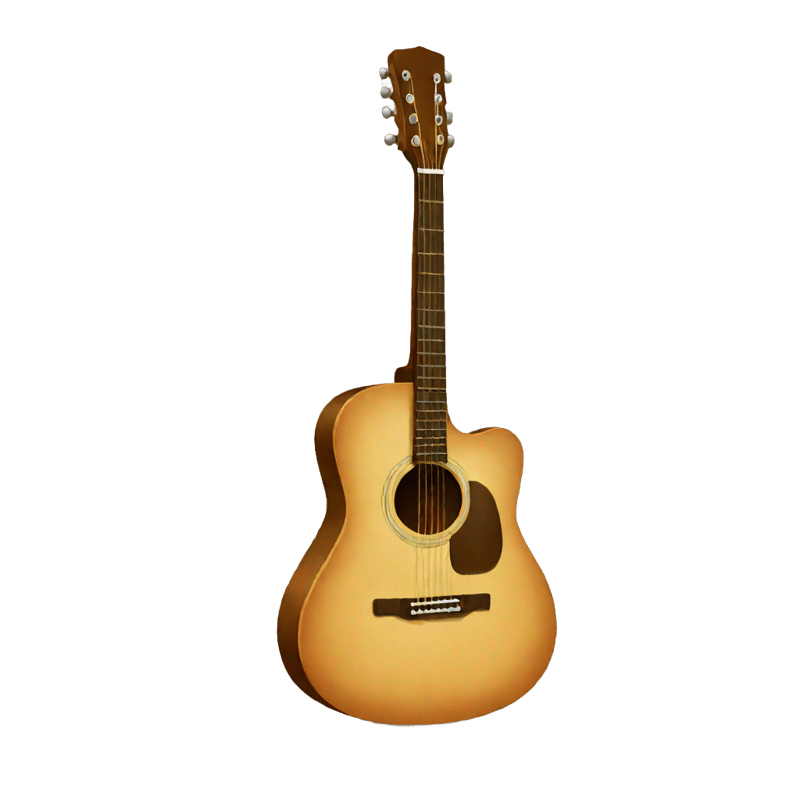 Acoustic Guitar