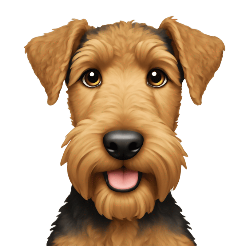 Baby Airedale Terrier