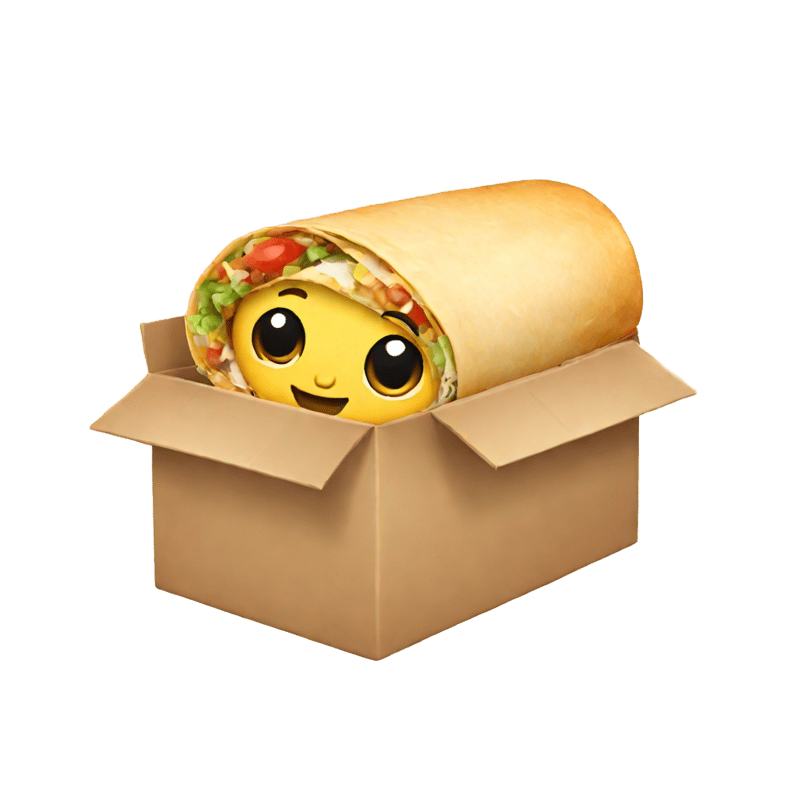 burrito with a box on top of it