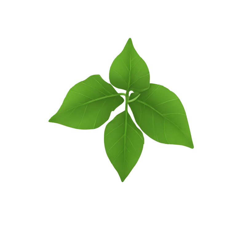 konoha leaf symbol