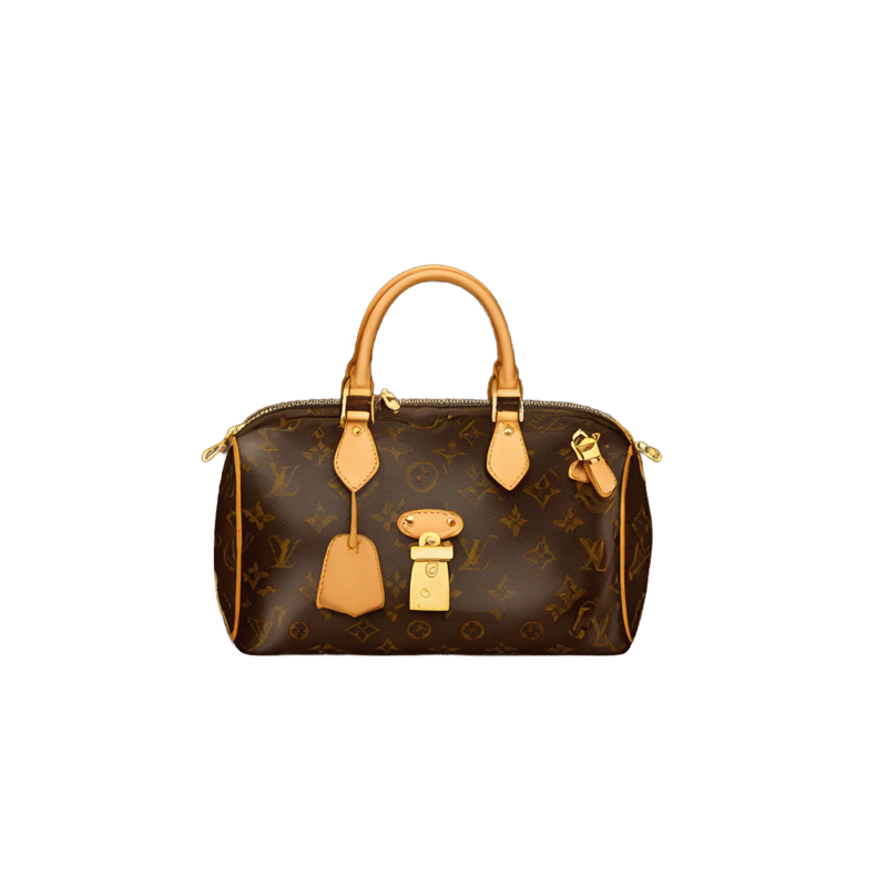 Louis vuitton purse