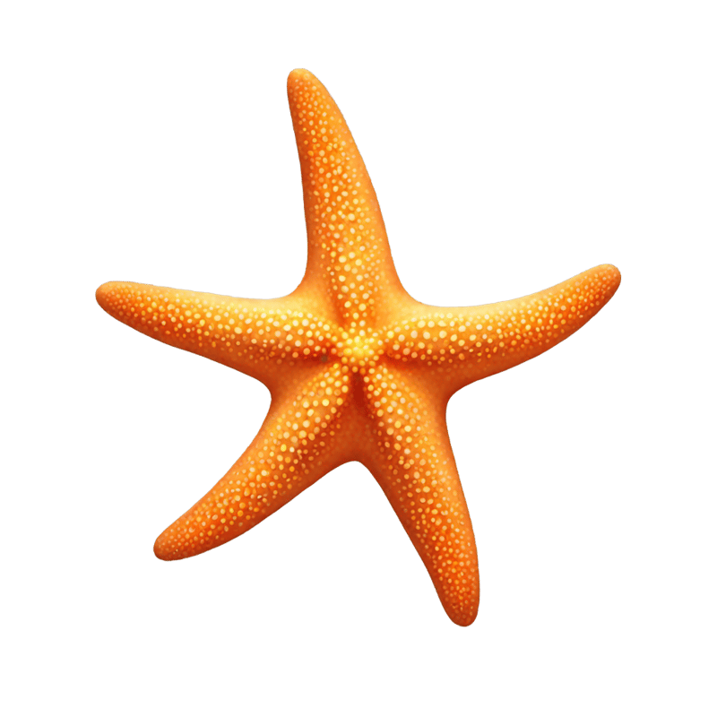 starfish