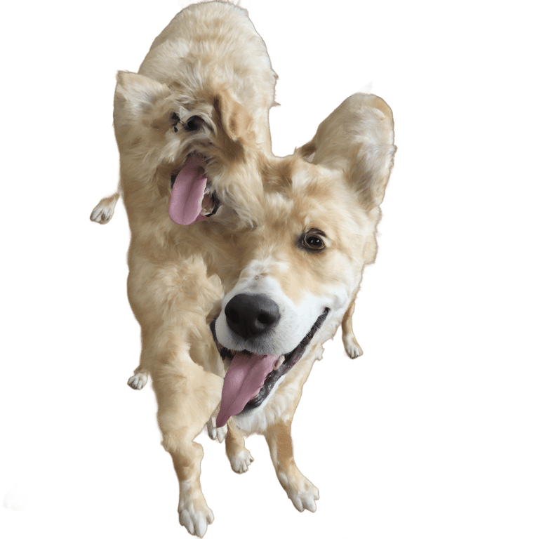 genmoji: Happy dog with tongue out