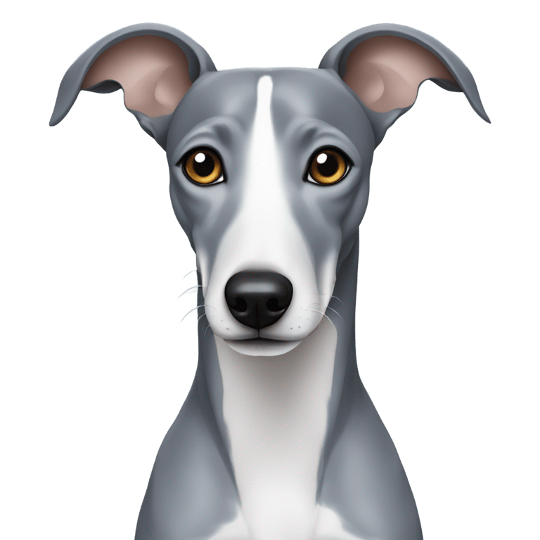 genmoji: A blue whippet with brown eyes