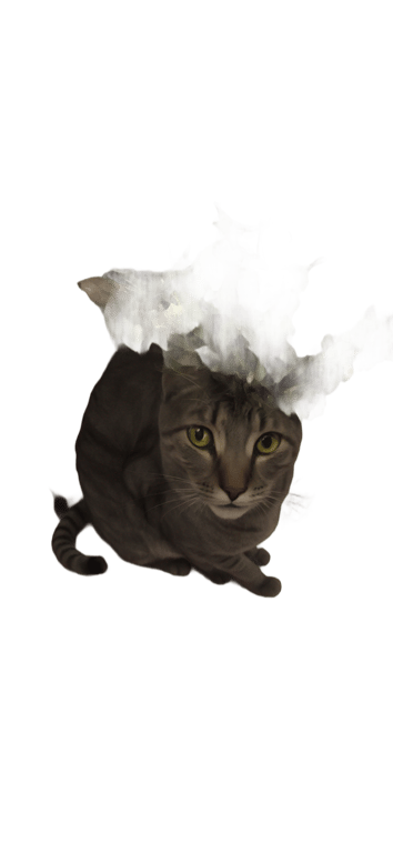 genmoji: cat