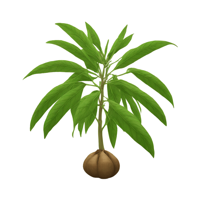 genmoji：Cassava