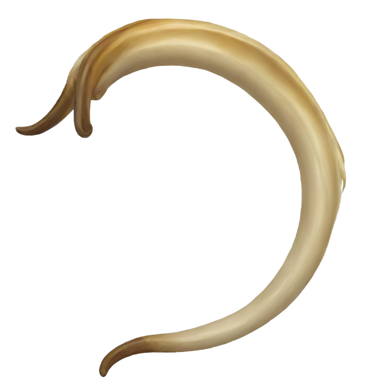 genmoji: curled goat horn