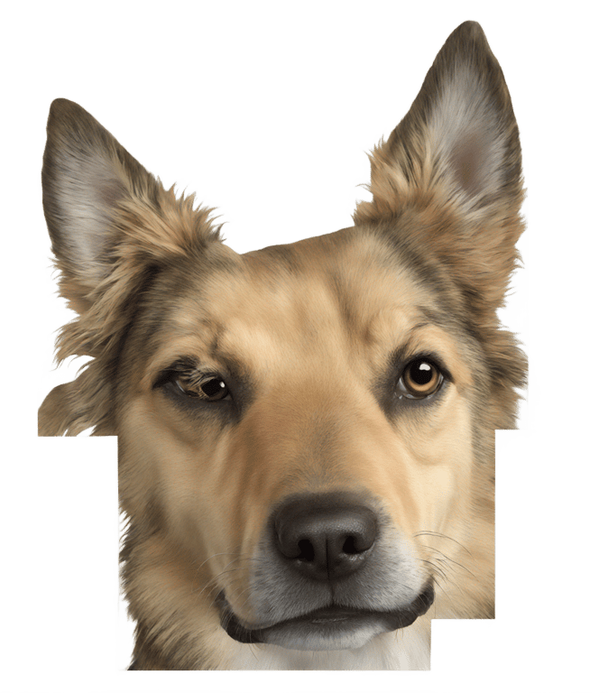 genmoji: Friendly dog