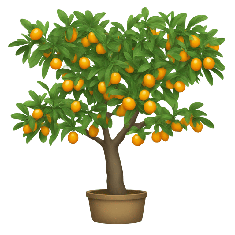 genmoji: kumquat tree