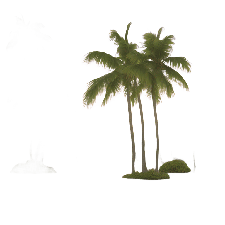 genmoji：Miami Florida