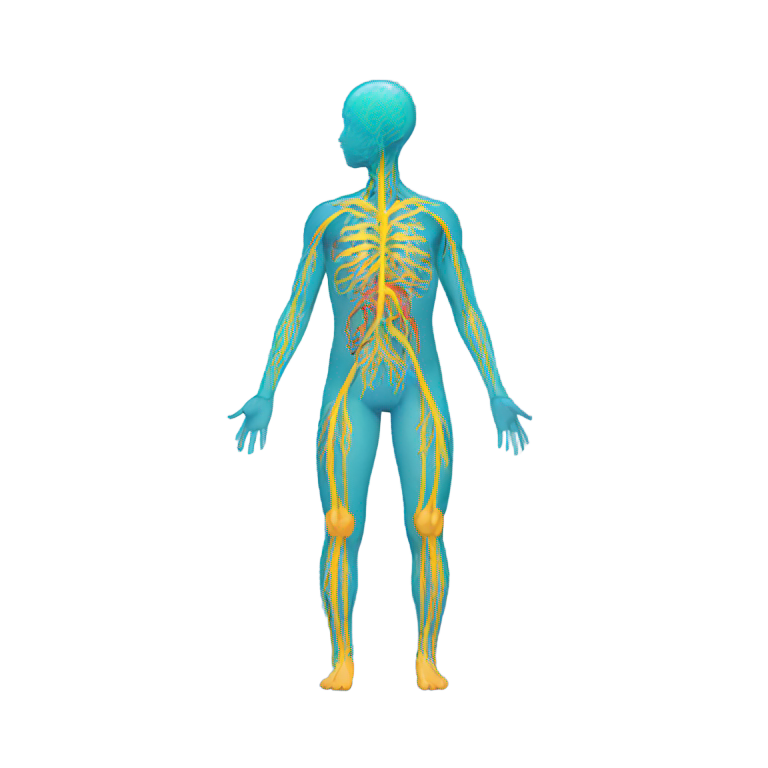 genmoji : Corps avec système nerveux