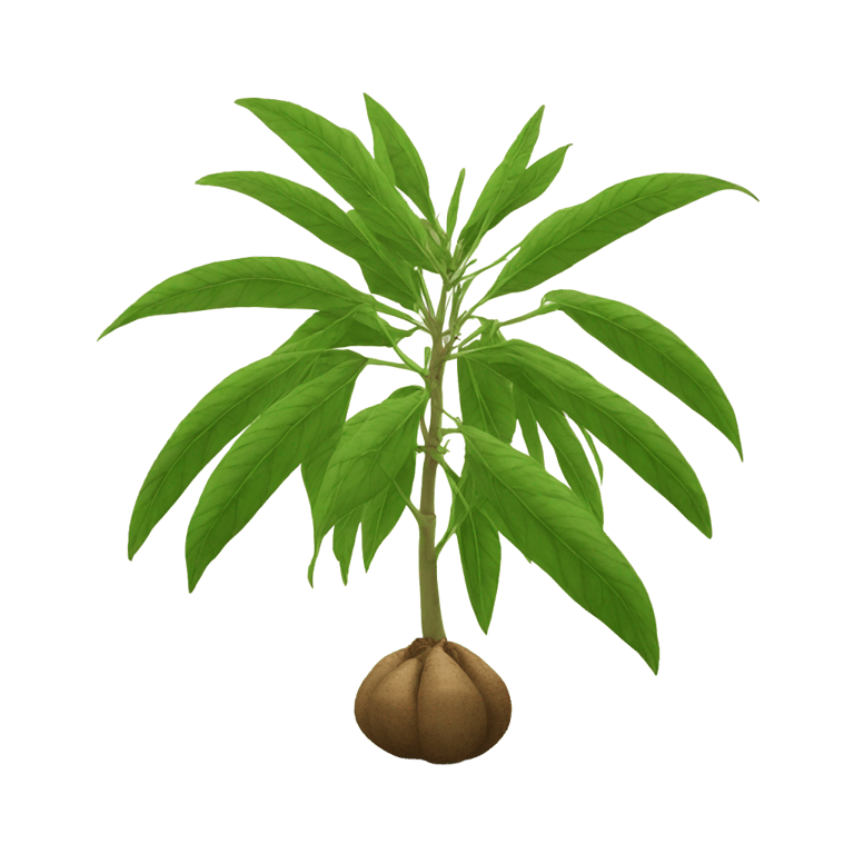 絵文字：Cassava
