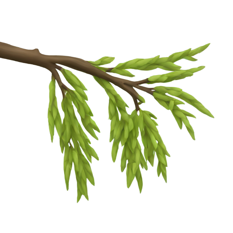 genmoji : willow branch