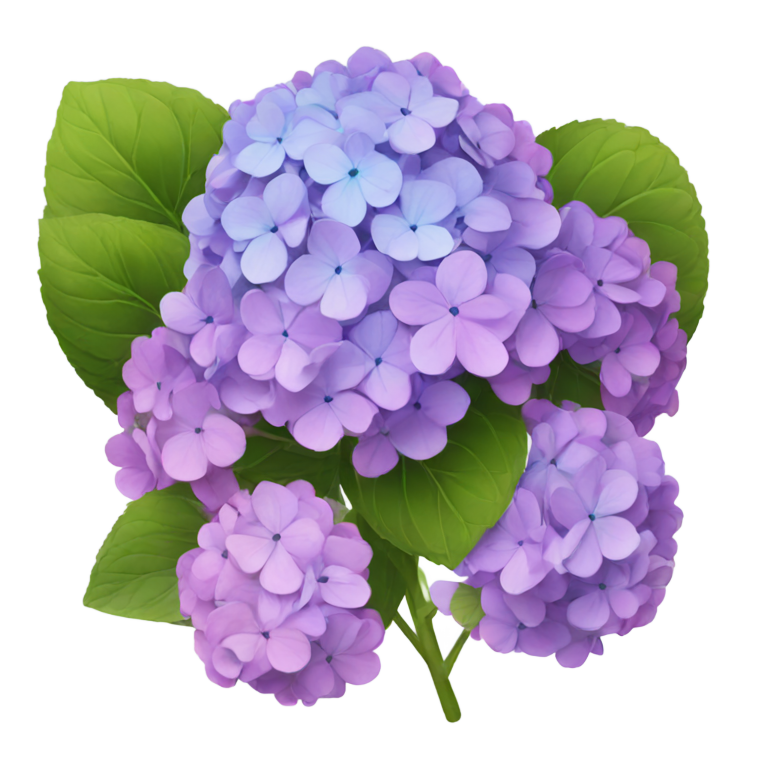 genmoji : hortensias