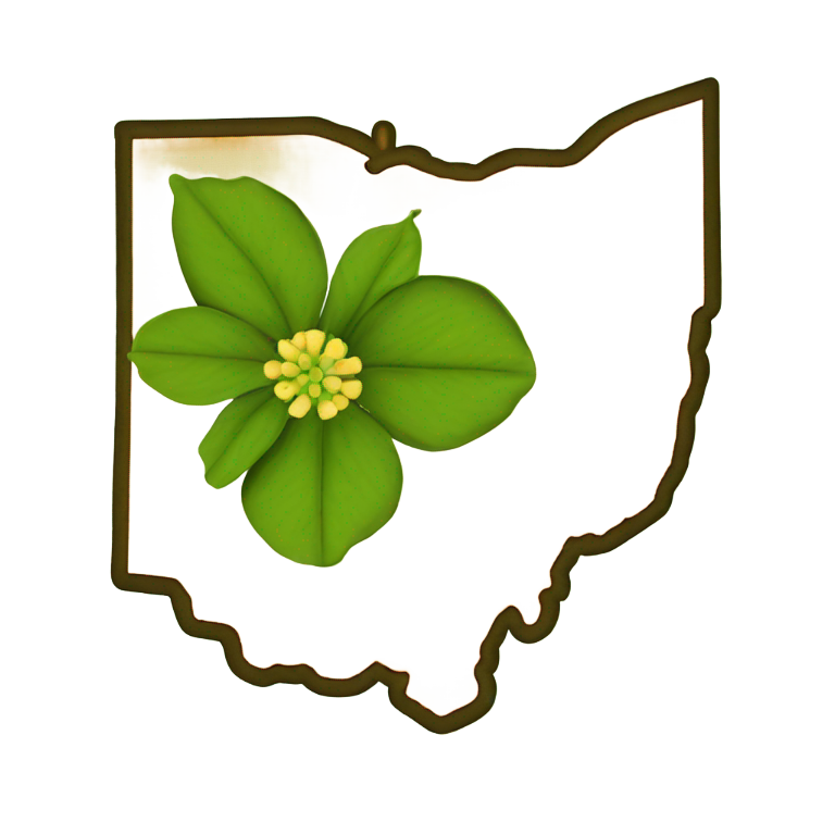 genmoji: Green Map of Ohio with a large buckeye flower