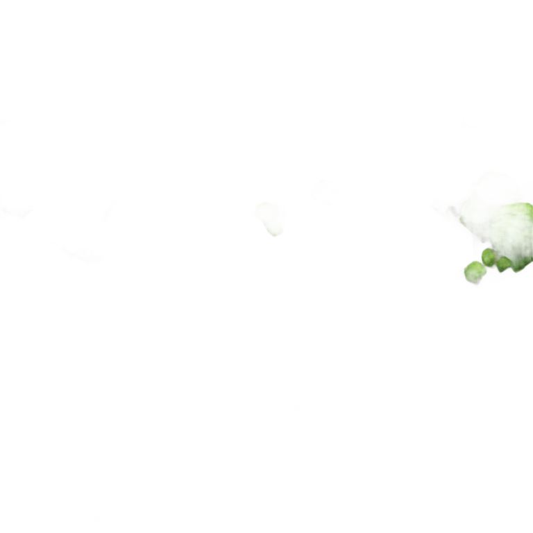 genmoji：广岛鸟瞰图