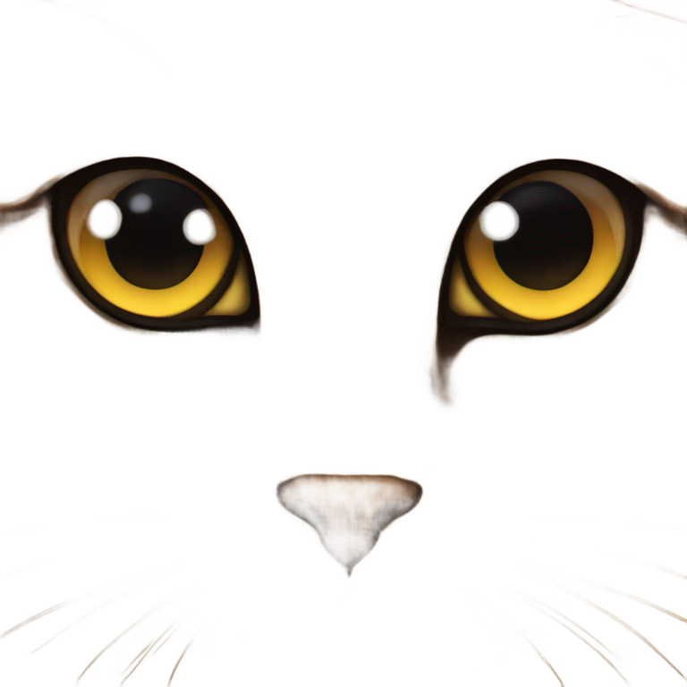 絵文字：大きなキラキラした目を持つ猫