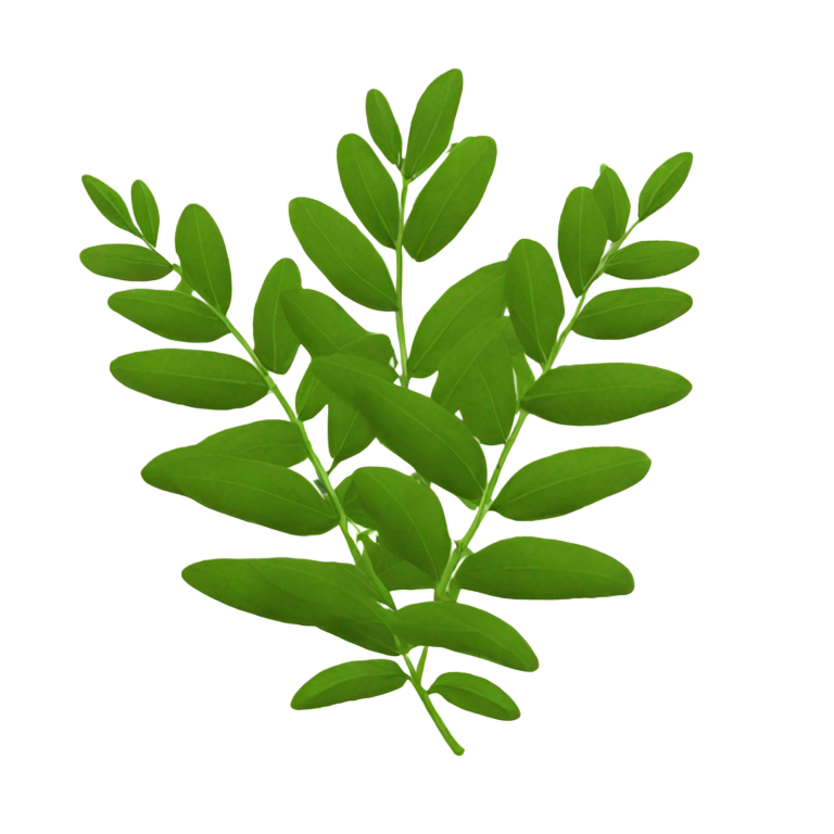 genmoji：curry leaves