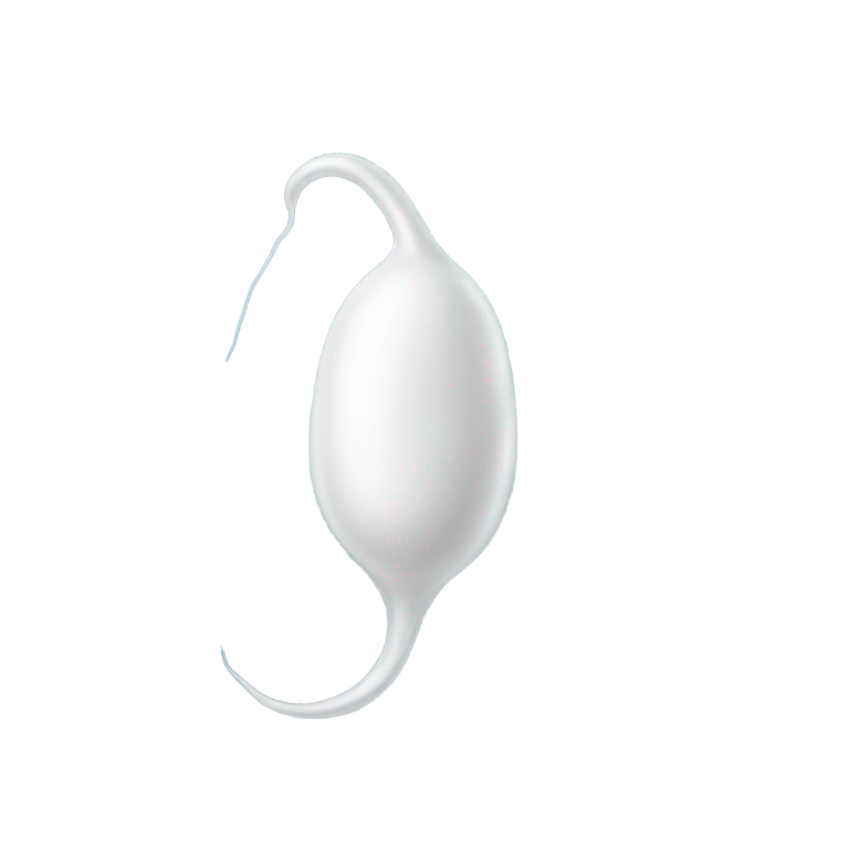 絵文字：精子細胞