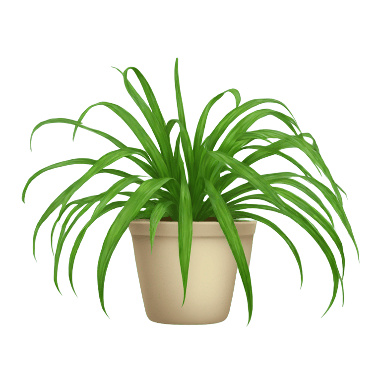 genmoji：Spider plant