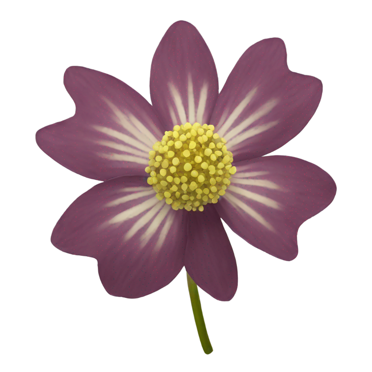 絵文字：ブッキーアイの花