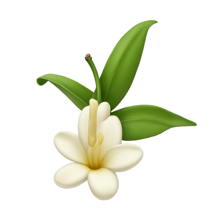 genmoji：香草豆旁边的香草花
