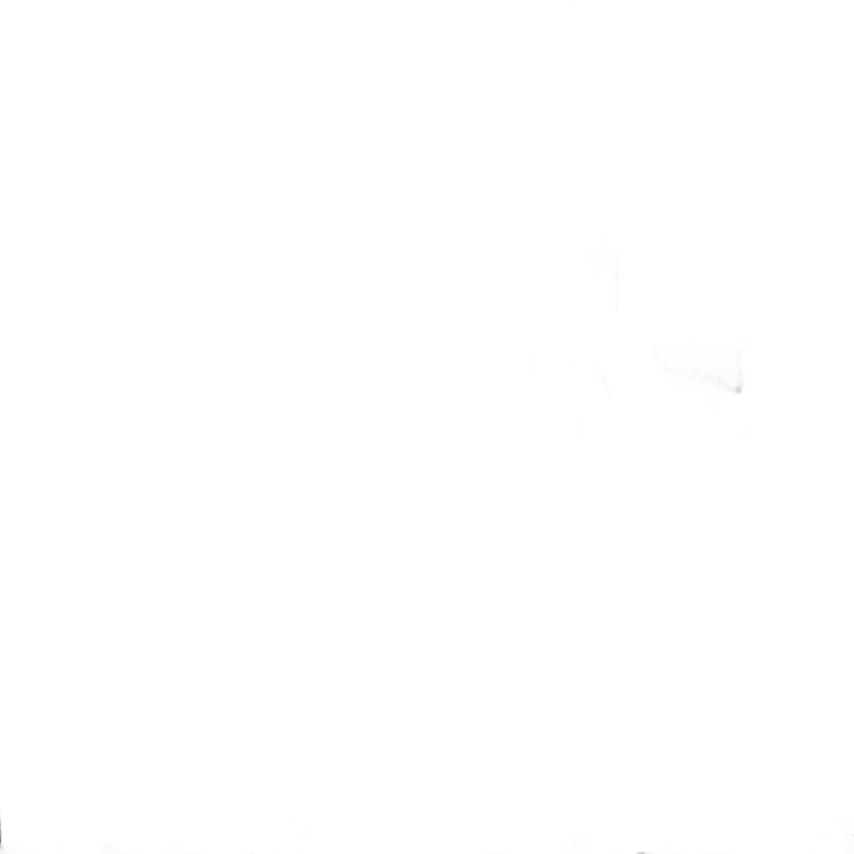絵文字：音速の戦士たち