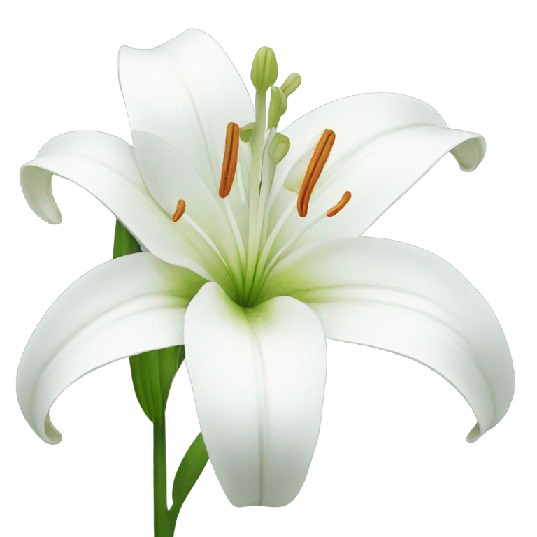 genmoji：白百合花